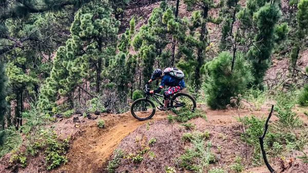 Mountainbiker am Trail von Harald Maier