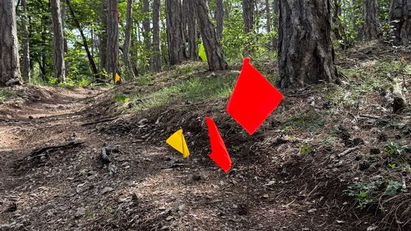Markierungen am Trail von Harald Maier