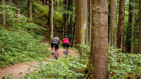 Gravel-Bikes: Neue Nutzergruppe zwischen den Kategorien