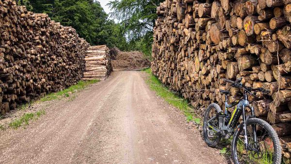 Forstliche Einschlagsplanung und MTB-Korridore: Zeitfenster-Management