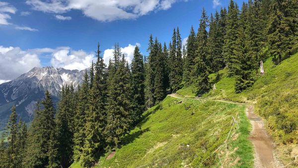 Ehrenamt im Trail-Management: Motivationsstrukturen und Burnout-Prävention
