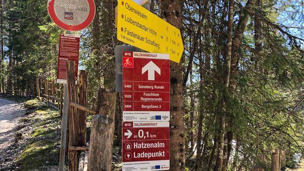 Die ambi Mountainbike-Strategie 2030: Ziele, Maßnahmen, Meilensteine