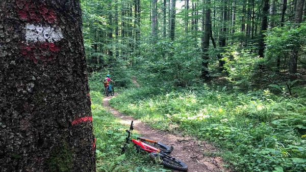 Nutzungsverträge für MTB-Strecken: Wie Gemeinden rechtssichere Grundlagen schaffen
