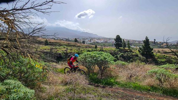 Mountainbiking als Massenphänomen: Was Gemeinden jetzt wissen müssen