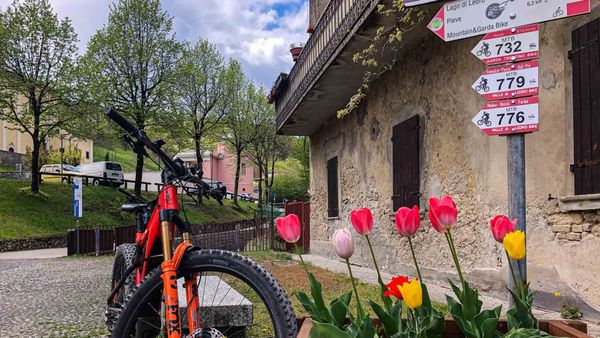 Trailbau-Standards: IMBA, STS und ITRS im kritischen Vergleich