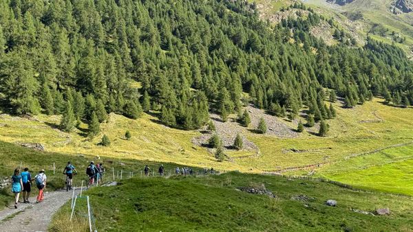 Nutzergruppen-Konflikte auf gemeinsamen Wegen verstehen und entschärfen