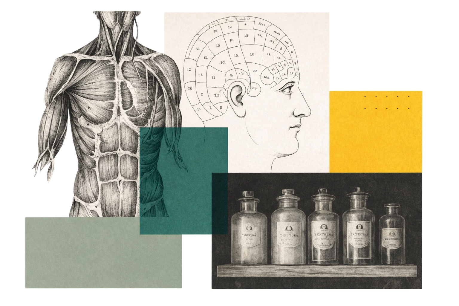 Medical Archaeology