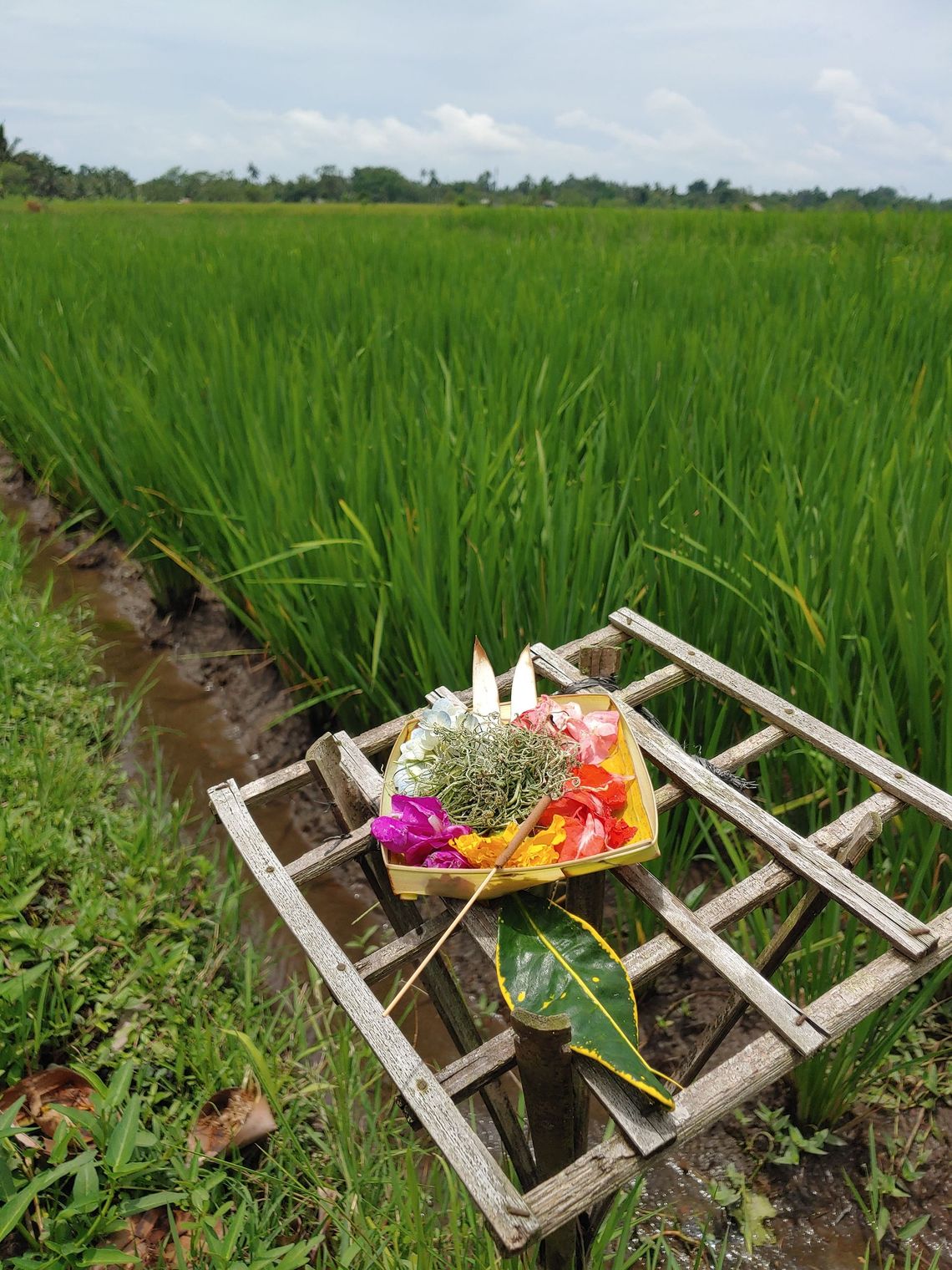 Eco-Erotic Tantra Retreat - Meet and Greet - Free Online