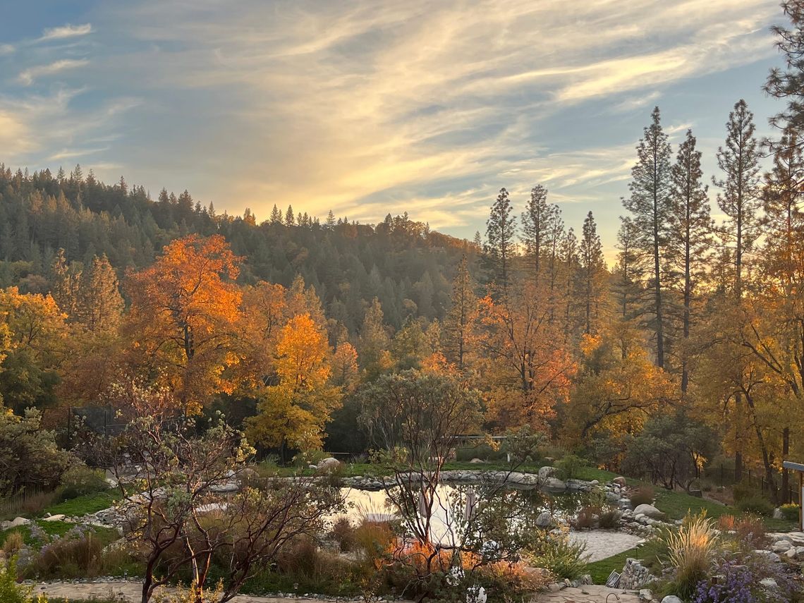 Earthly Desire: An Eco Erotic Nature Retreat