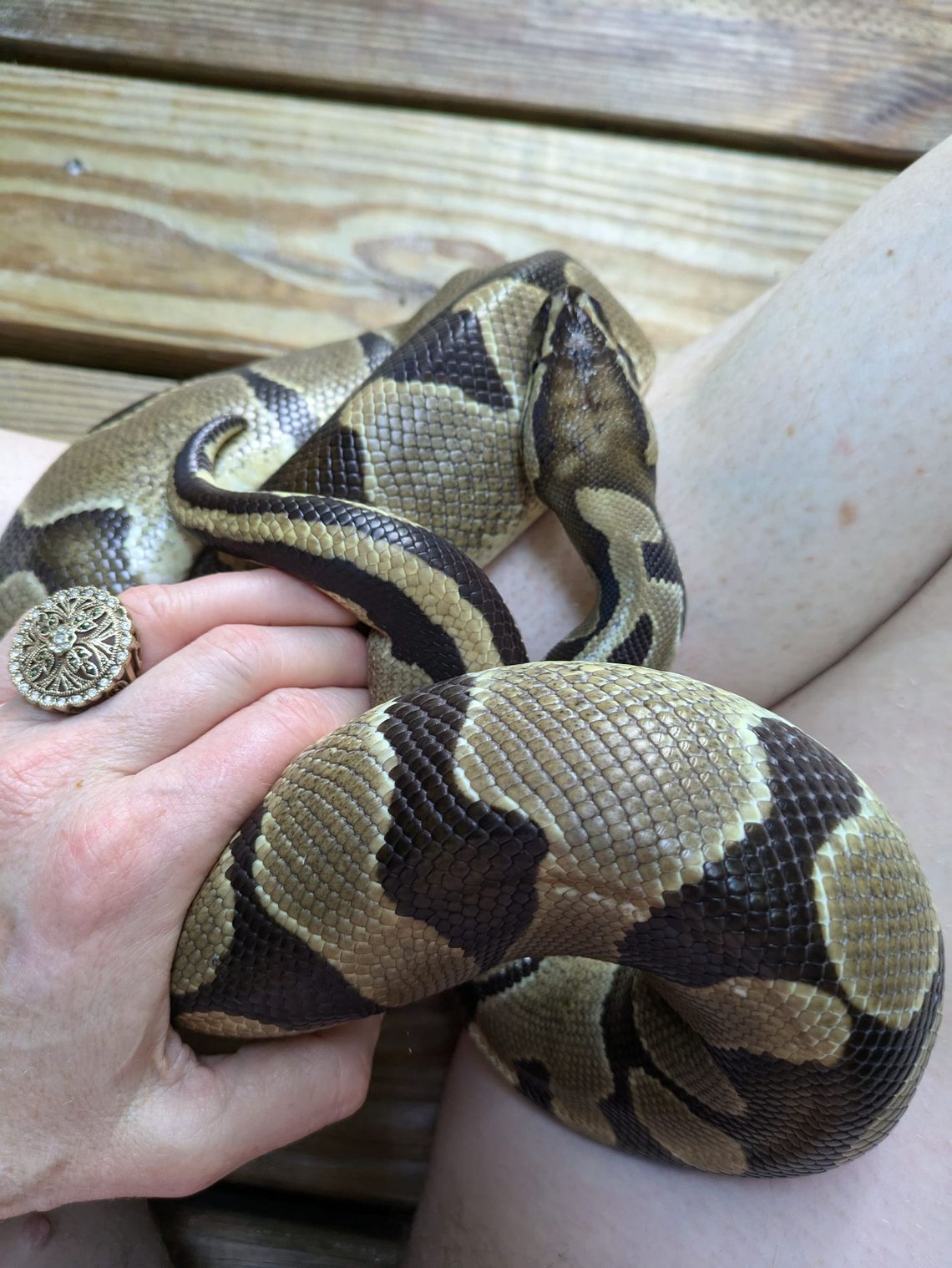 This girl brings me so much joy