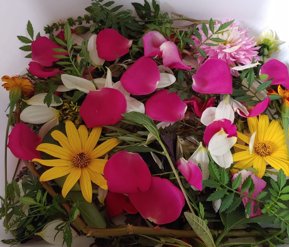 Got lunch plans on Thursday?