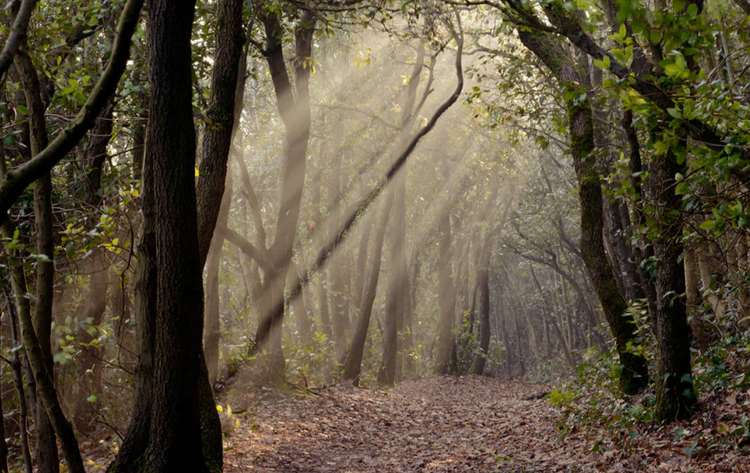 How to Play With Yourself