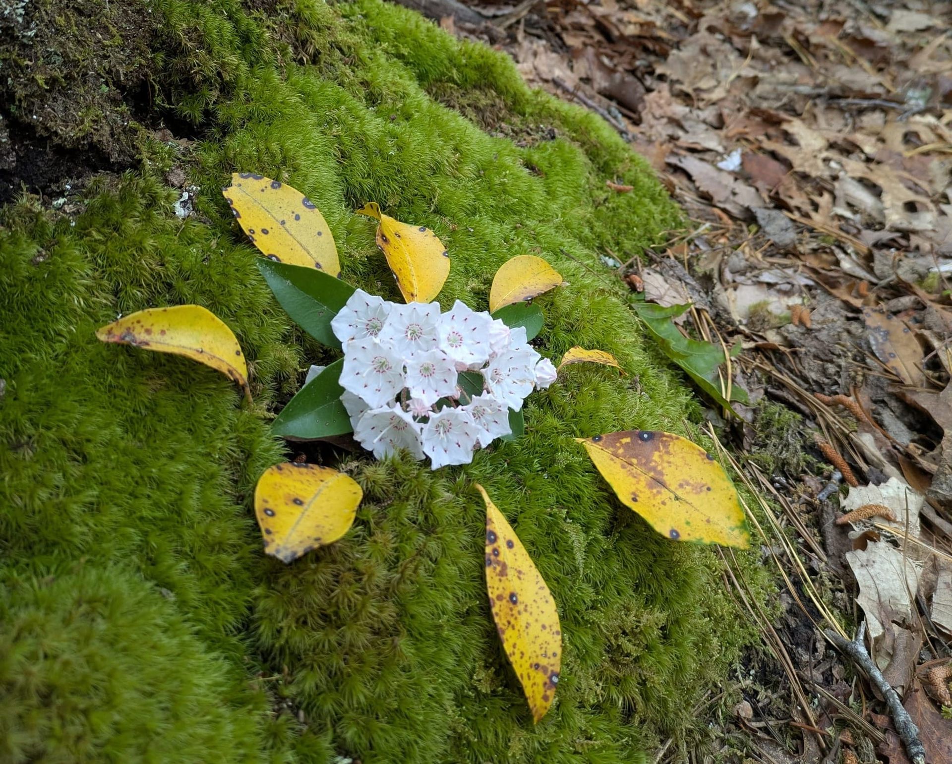 Size Matters (in surprising ways)