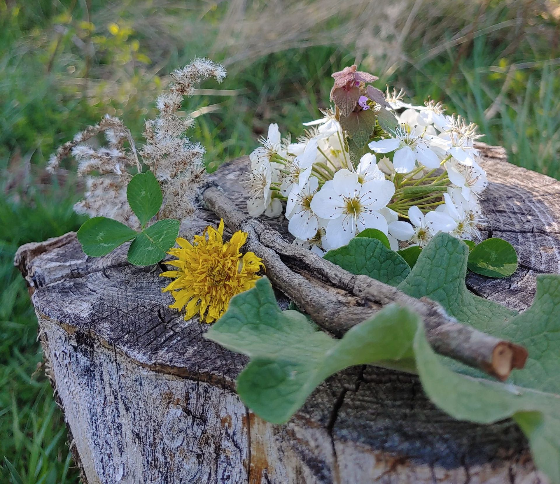 Earth Day Devotional: Forest Fairy Play & Ritual