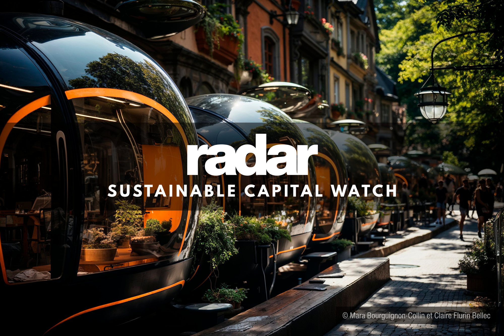 SUSTAINABLE CAPITAL WATCH