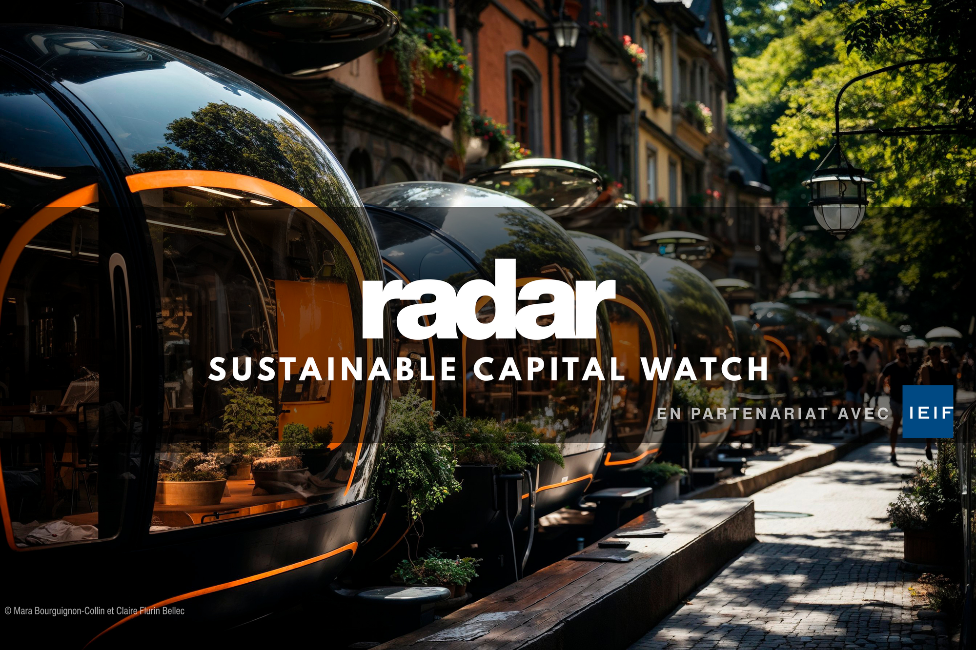 SUSTAINABLE CAPITAL WATCH