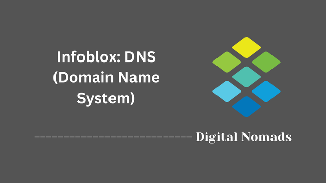 Infoblox: DNS (Domain Name System)