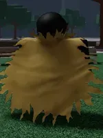 Tattered Cape