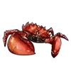 Crab Boss