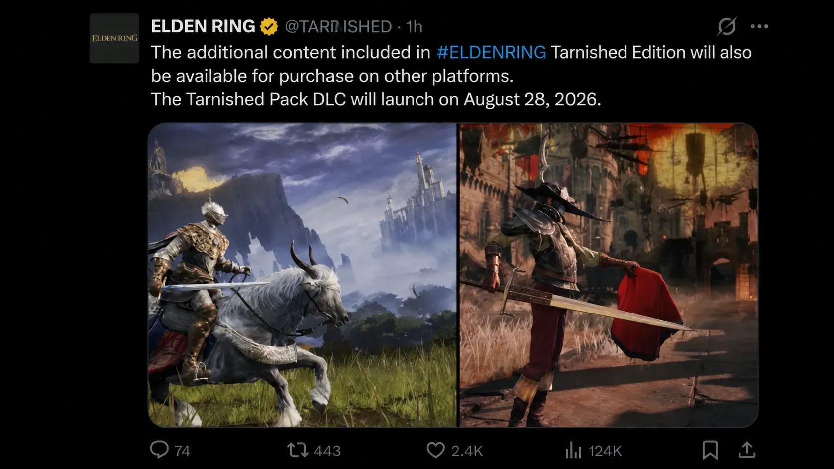 Elden Ring Tarnished Pack DLC