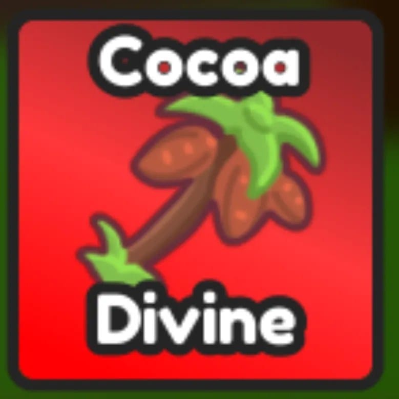 Cocoa