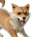 Miso