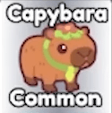 Capybara