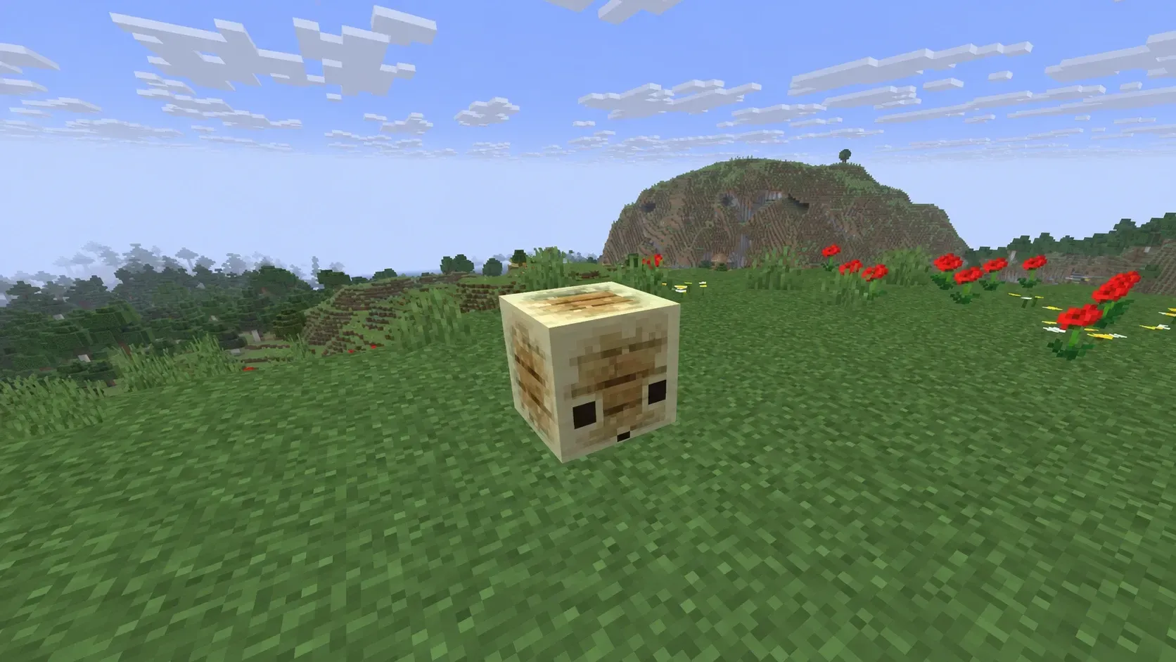 Sulfur Cube Bouncy Archetype (Wood-based Blocks)