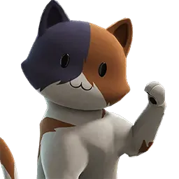 Kit