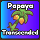 Papaya