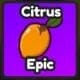 Citrus