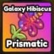 Galaxy Hibiscus