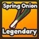 Spring Onion
