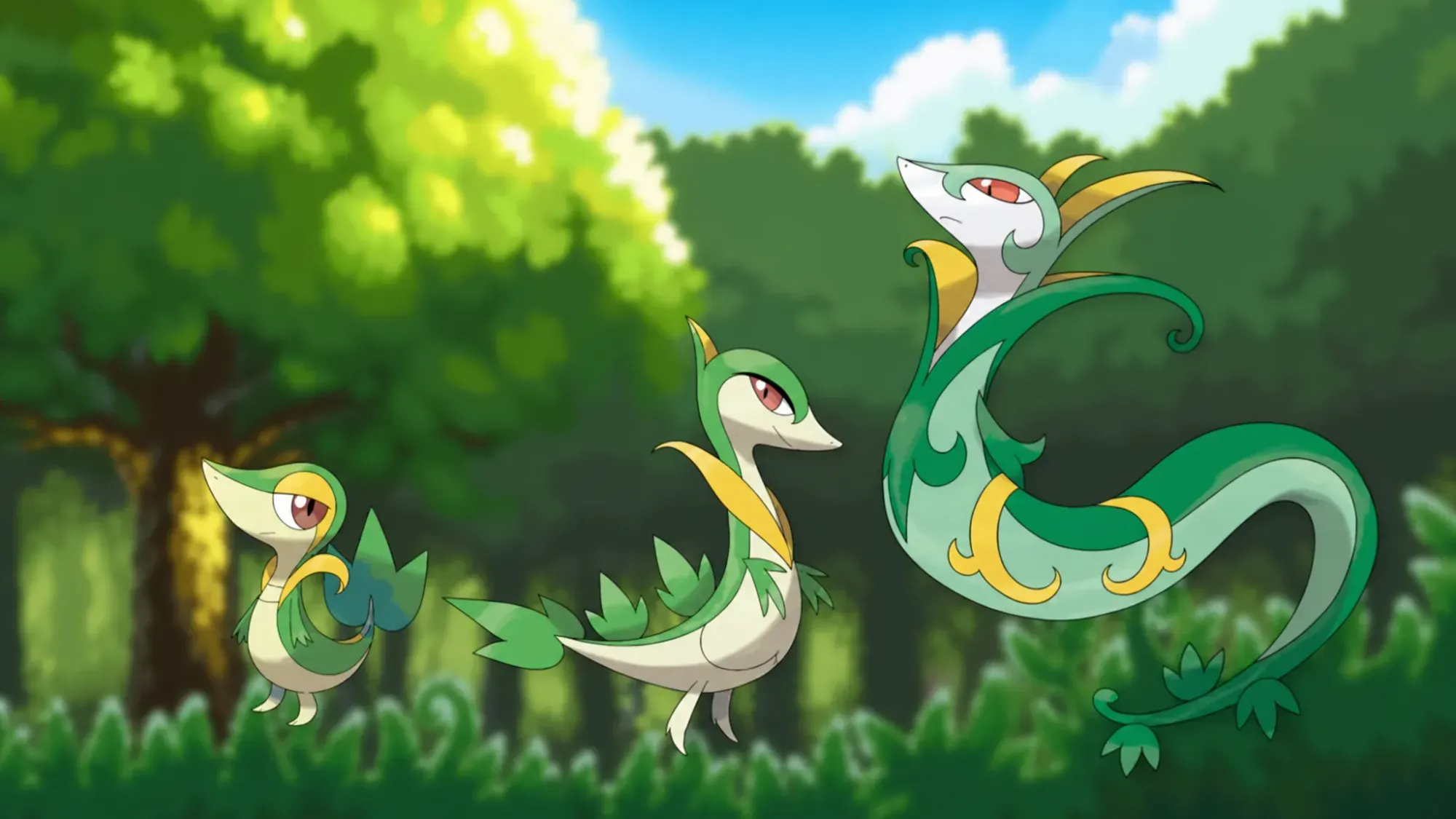Custom image of the Snivy to Serperior evolution line for snake Pokémon guide