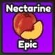 Nectarine