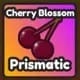 Cherry Blossom