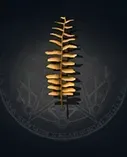 Fern