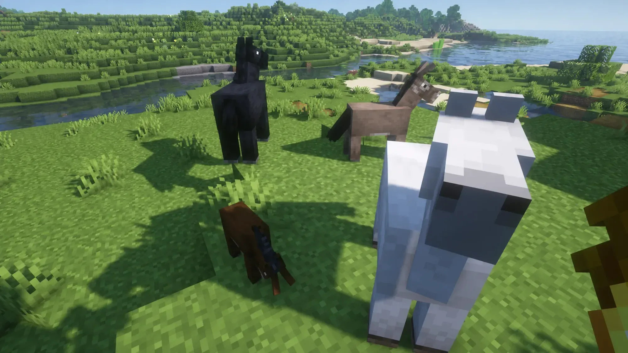 How to Breed a Horse and Donkey in Minecraft