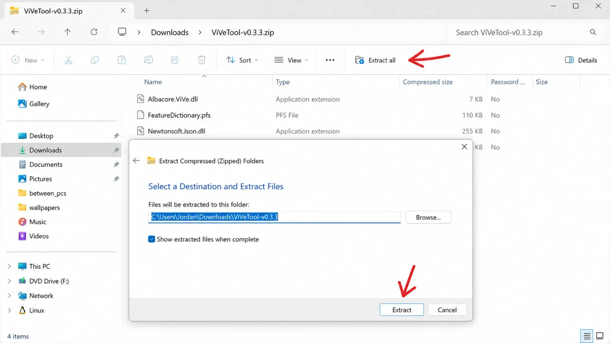 Extract ViveTool zip file