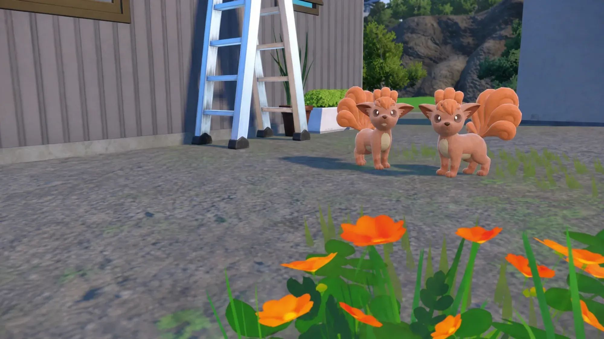 The pokemon vulpix as seen in the Scarlet and Violet Pokedex