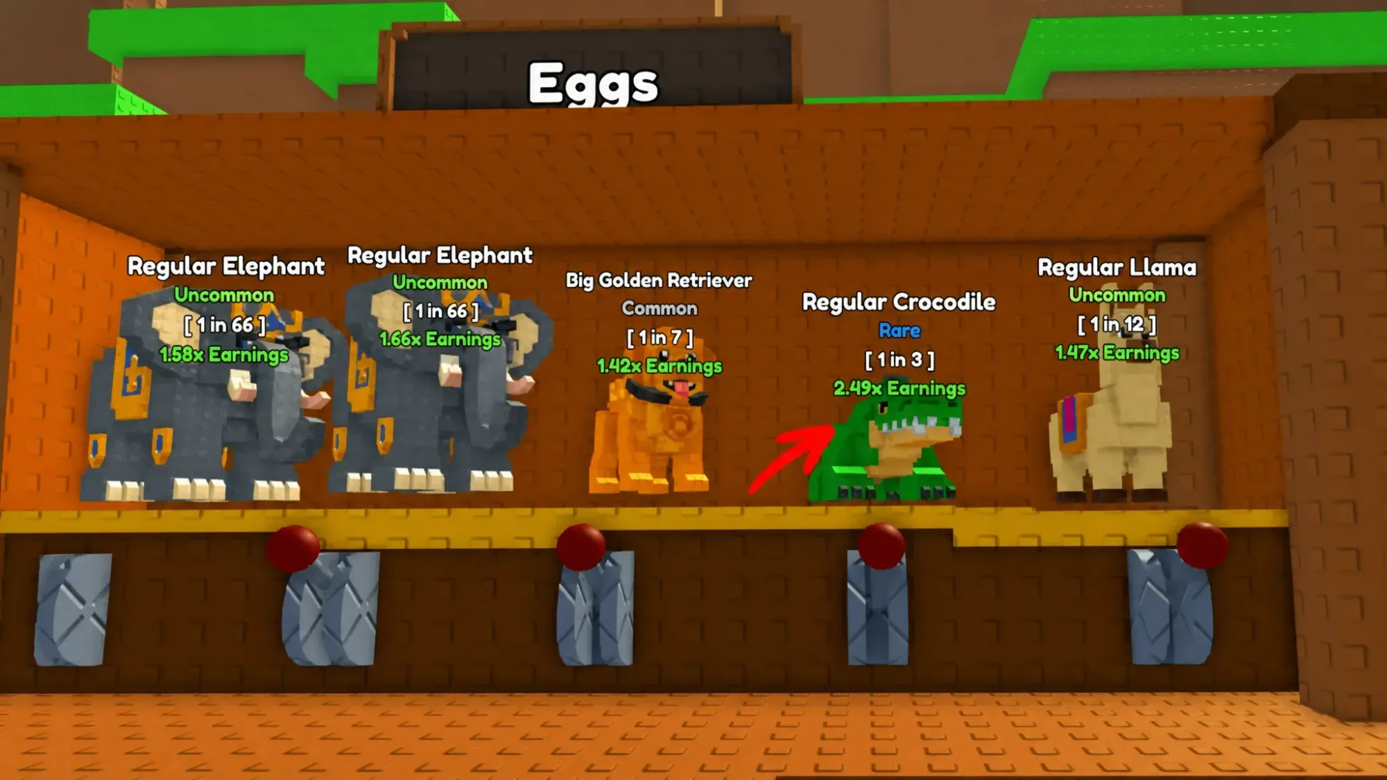 Regular Crocodile pet