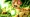 Benverse Codes (May 2026)