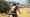 Hunting Sniper Codes (May 2026)