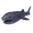 Fisch Megamouth Shark and Humpback Whale Migration: Bait, Locations, Rods