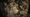 Path of Exile 2 Runes of Aldur: Completing All 8 League Challenges