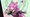 Haniel Voice Actors in Neverness to Everness (NTE)