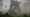 Crimson Desert Flickering Starlight: Blackwater Oil Merchant Guild Quest Chain