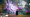 Shells Traits List and Reroll Mechanics (Roblox)