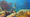 Subnautica 2 and the case for trading humanity for the ocean