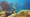 Air Bladder in Subnautica 2: Recipe, Materials, and How to Use It